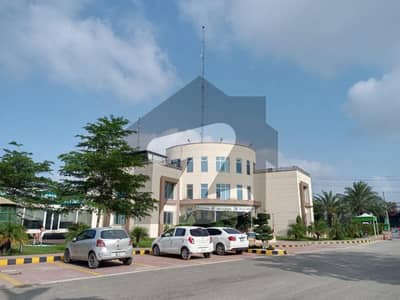 سفاری