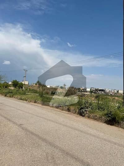 آئی