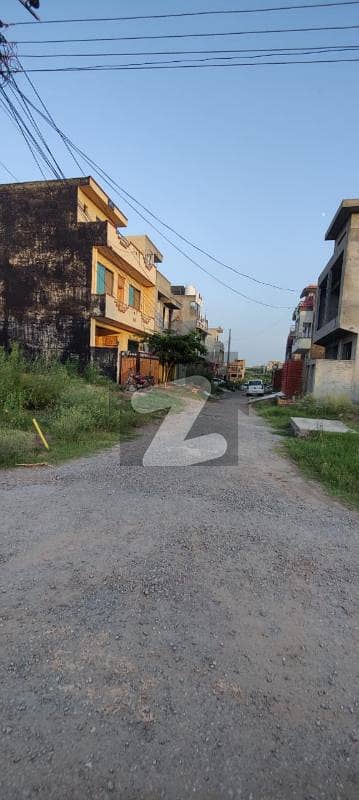 41 