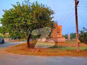 ویلینشیاء