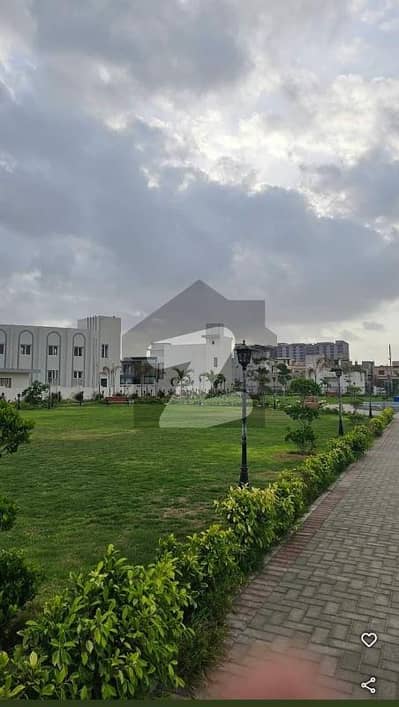 سیکٹر