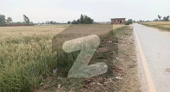 مانگا منڈی لاہور میں 11 کنال زرعی زمین 1.65 کروڑ میں برائے فروخت۔
