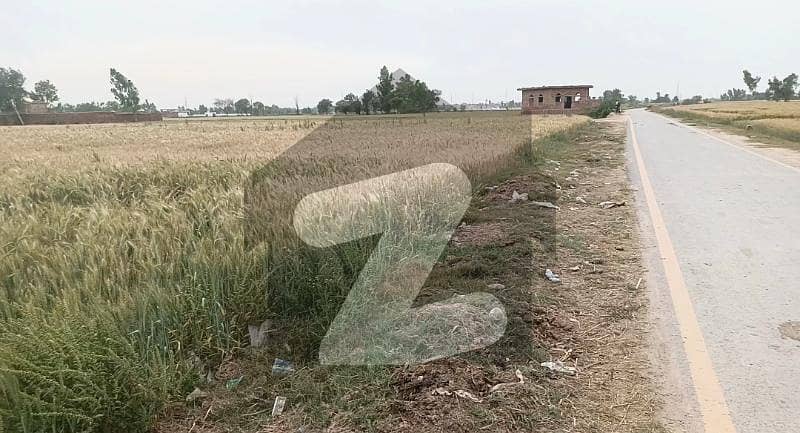مانگا منڈی لاہور میں 11 کنال زرعی زمین 1.65 کروڑ میں برائے فروخت۔ مانگا منڈی لاہور میں 11 کنال زرعی زمین 1.65 کروڑ میں برائے فروخت۔