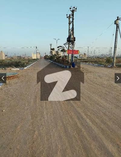 صدف