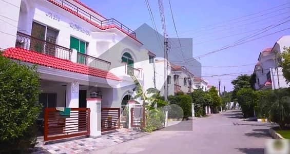 ڈی