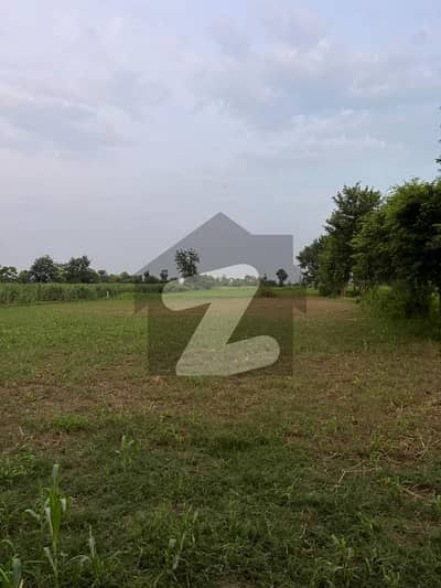 ننکانہ صاحب بائی پاس ننکانہ صاحب میں 18 کنال زرعی زمین 1.75 کروڑ میں برائے فروخت۔