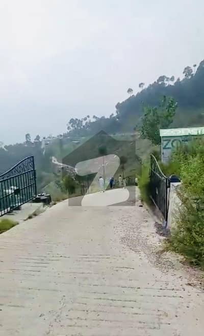 مری