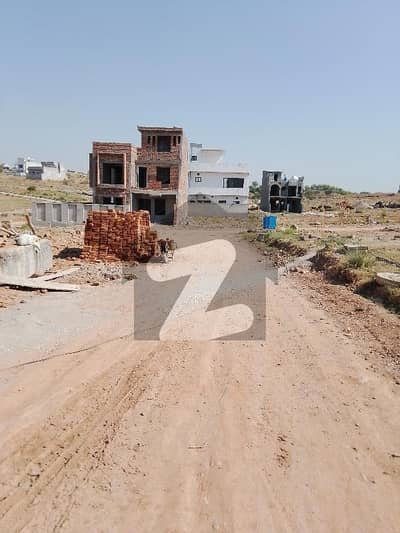 جناح