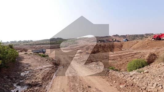 آئی
