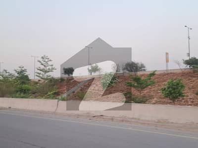 DHA