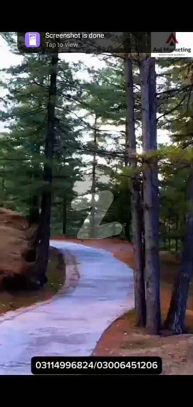 3 Marla Plot Available For Sale In Murree Hamlets. 3 Marla Plot Available For Sale In Murree Hamlets.