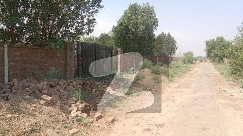 4 KANAL FARM SPRING MEADOWS - BEDIAN ROAD 4 KANAL FARM SPRING MEADOWS - BEDIAN ROAD