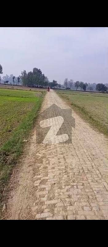 برکی روڈ کینٹ,لاہور میں 21 کنال زرعی زمین 55.0 لاکھ میں برائے فروخت۔ برکی روڈ کینٹ,لاہور میں 21 کنال زرعی زمین 55.0 لاکھ میں برائے فروخت۔