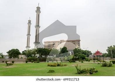 حیات