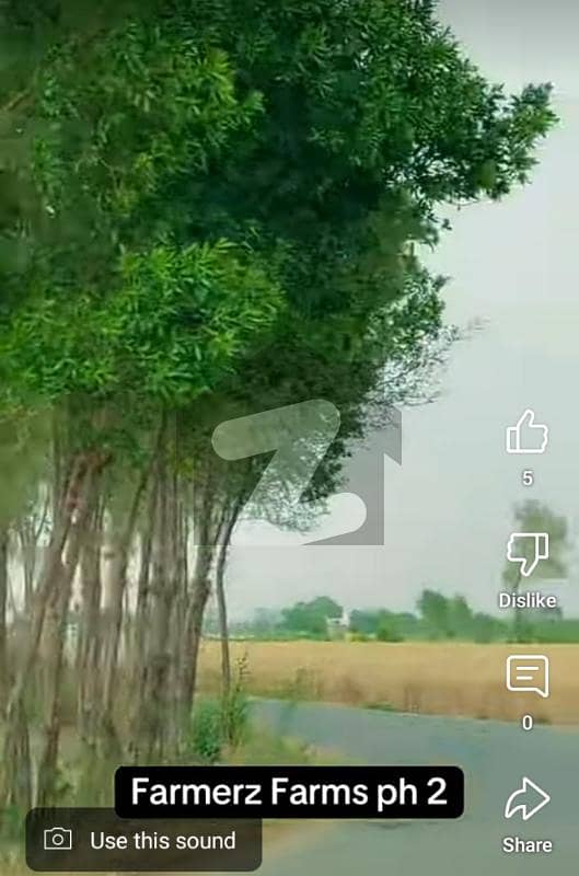 Looking For A Agricultural Land In Lahore Looking For A Agricultural Land In Lahore