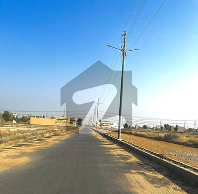 سعدی