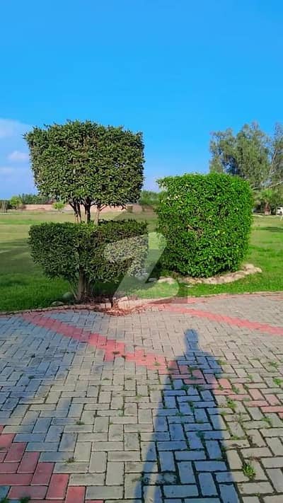 بیدیاں