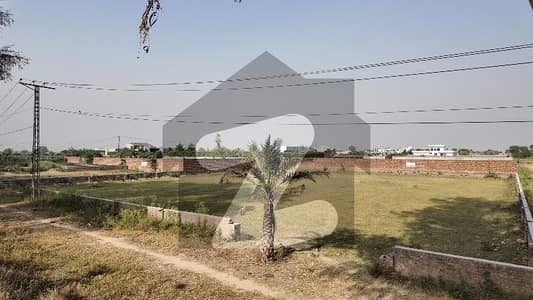 برکی