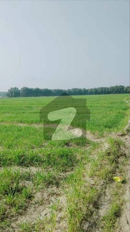 67 Kanal land available for sale main thalian Road Rawalpindi 67 Kanal land available for sale main thalian Road Rawalpindi