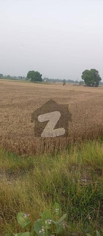 OPEN LAND FOR SALE IN BARKI ROAD OPEN LAND FOR SALE IN BARKI ROAD