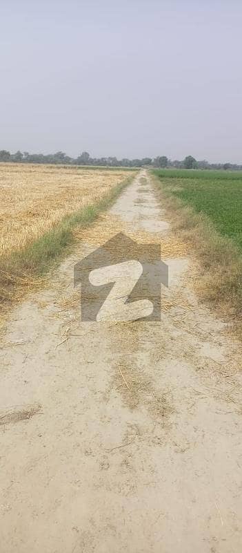 برکی روڈ کینٹ,لاہور میں 4 کنال زرعی زمین 12.0 لاکھ میں برائے فروخت۔ برکی روڈ کینٹ,لاہور میں 4 کنال زرعی زمین 12.0 لاکھ میں برائے فروخت۔