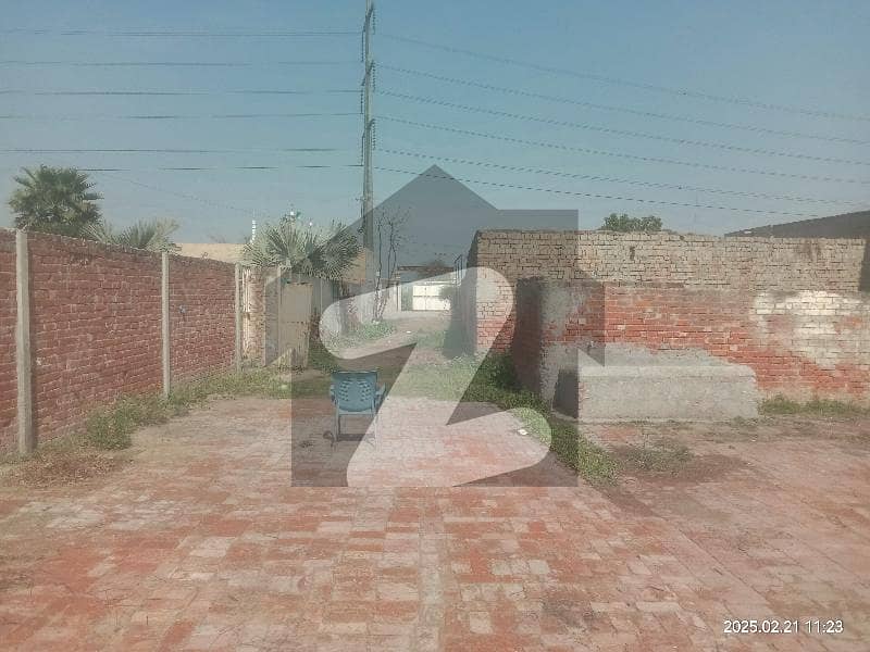 30 Marla diary farm for rent 30 Marla diary farm for rent