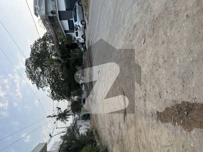 Main