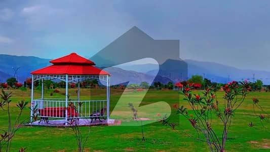 ریگی
