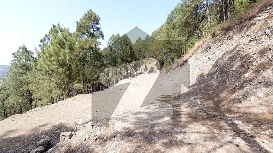 Plot For Sale Possession + Construction Only On 50% Down Payment Ready Your Huts Or Farmhouse On First Payment Remaining Amount On 2 Years Installment Plan Plot For Sale Possession + Construction Only On 50% Down Payment Ready Your Huts Or Farmhouse On First Payment Remaining Amount On 2 Years Installment Plan
