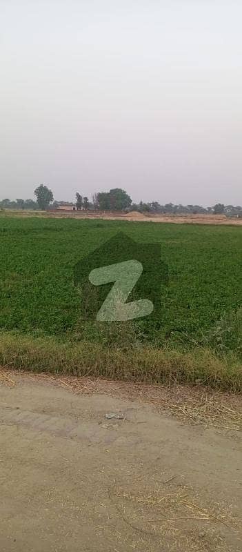 برکی روڈ کینٹ,لاہور میں 1 کنال زرعی زمین 30.0 لاکھ میں برائے فروخت۔ برکی روڈ کینٹ,لاہور میں 1 کنال زرعی زمین 30.0 لاکھ میں برائے فروخت۔