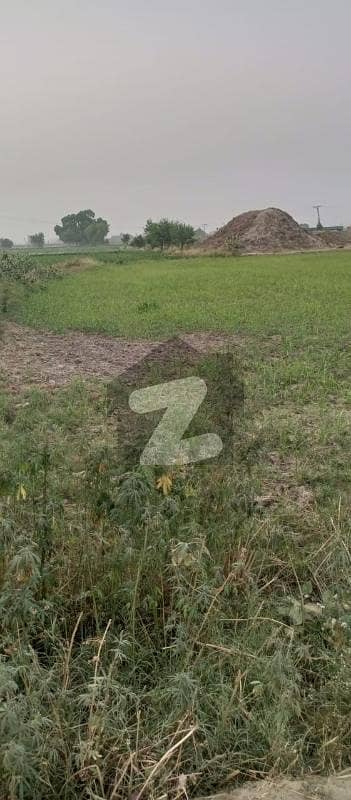 برکی روڈ کینٹ,لاہور میں 1 کنال زرعی زمین 30.0 لاکھ میں برائے فروخت۔ برکی روڈ کینٹ,لاہور میں 1 کنال زرعی زمین 30.0 لاکھ میں برائے فروخت۔