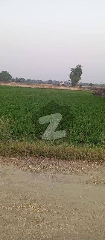 OPEN LAND FOR SALE IN Bedian Road OPEN LAND FOR SALE IN Bedian Road