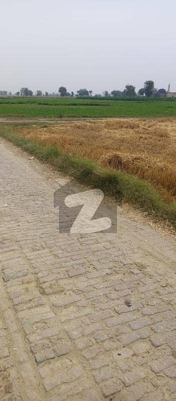 برکی روڈ کینٹ,لاہور میں 1 کنال زرعی زمین 30.0 لاکھ میں برائے فروخت۔ برکی روڈ کینٹ,لاہور میں 1 کنال زرعی زمین 30.0 لاکھ میں برائے فروخت۔