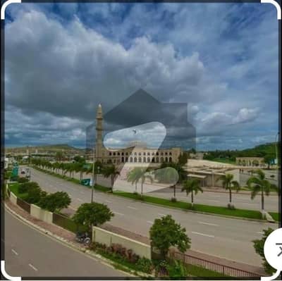 نیا