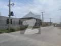 20 