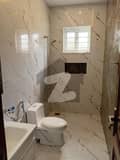 20 