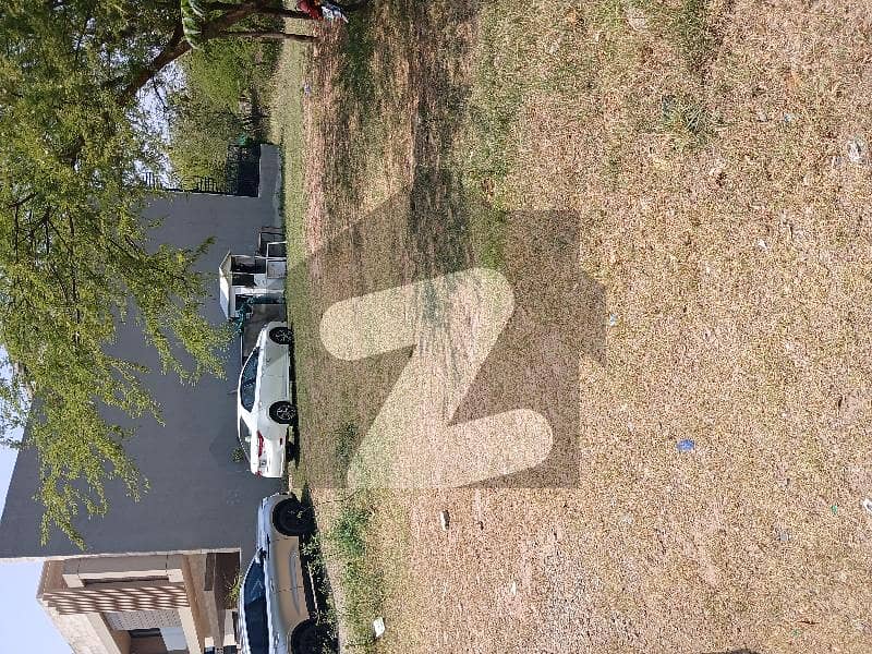 D-12/1 35*70 level Plot For Sale D-12/1 35*70 level Plot For Sale