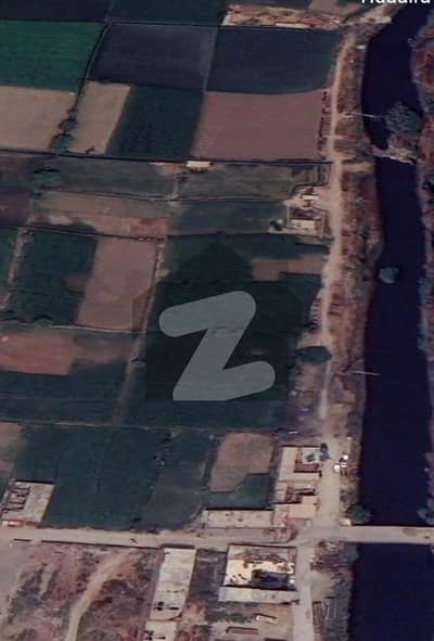 روہی