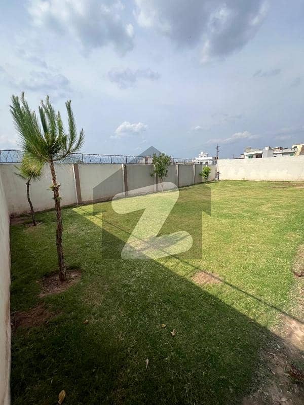 Zam Zam Real Estate Zam Zam Real Estate