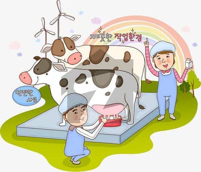 CATTLE