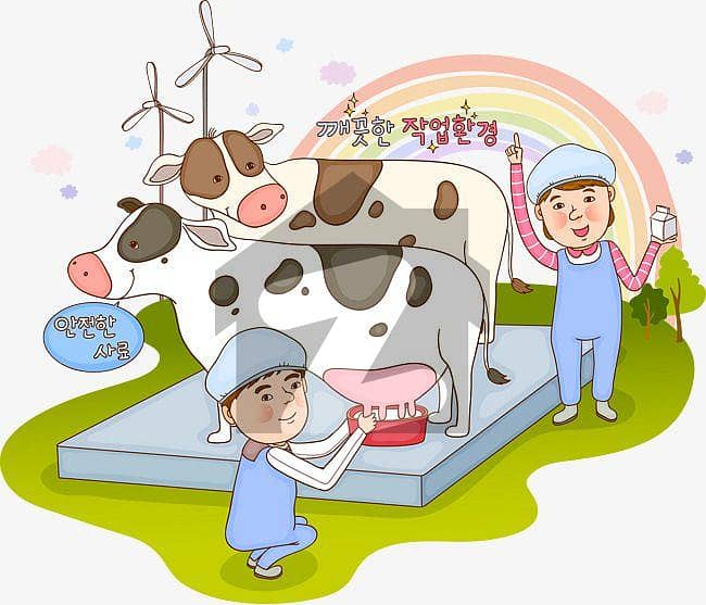 CATTLE FARM DAIRY FARM CATTLE FARM DAIRY FARM