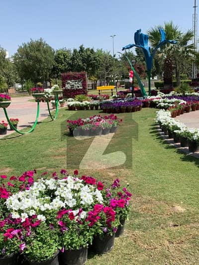 10 Marla Residential Plot For Sale In G 6 block Phase 4 Bahria Orchard Lahore. 10 Marla Residential Plot For Sale In G 6 block Phase 4 Bahria Orchard Lahore.