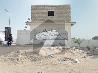 Faridi
