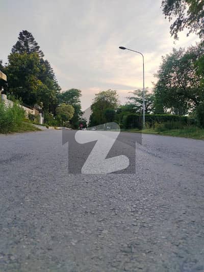 ایف