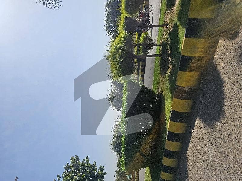 Gulberg Greens block D Farm Gulberg Greens block D Farm