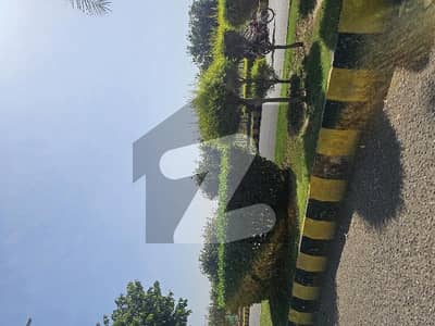 Gulberg