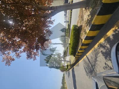 Gulberg