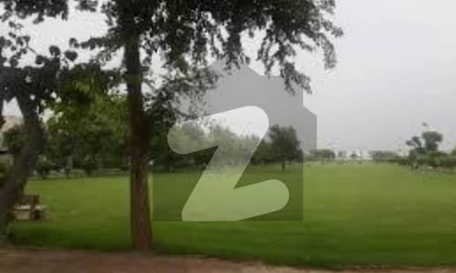 ویلینشیاء