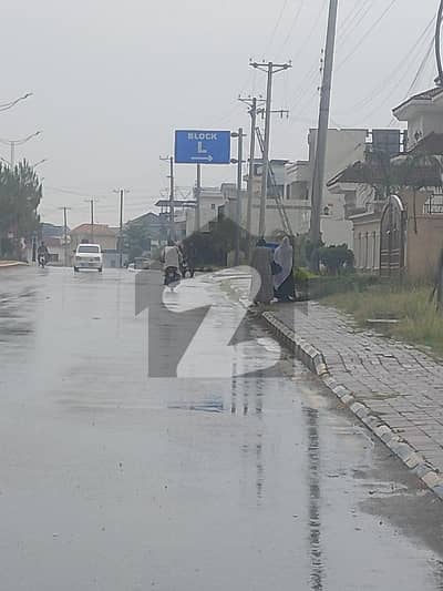 نیو