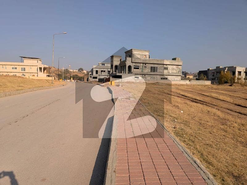 Beautiful Plot In Street# 13